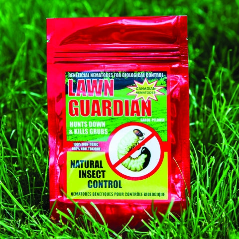 Beneficial Nematodes