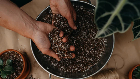 How to tell if your soil is well draining