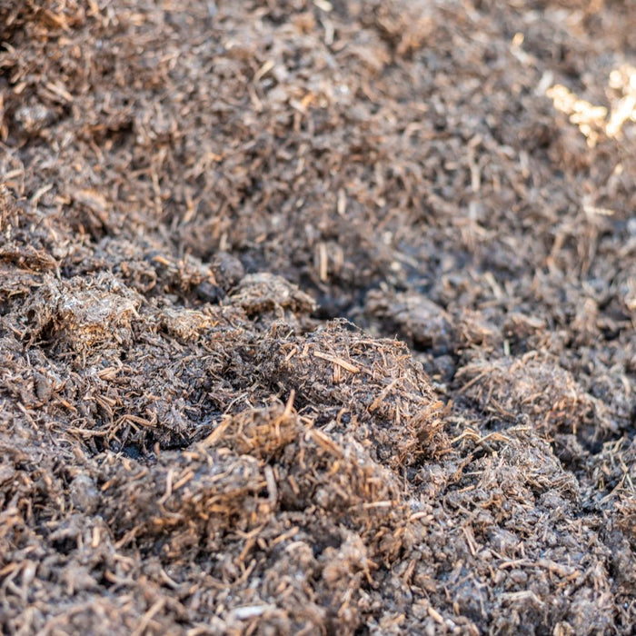 Mushroom Compost and Duck Manure Blend