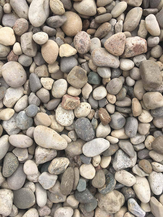 Algonquin River Stone 1-1.5" - available from Rice Road Greenhouses in Ontario, Canada