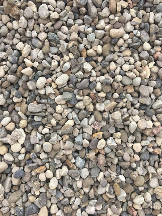 Pebblestone 1/2" - available from Rice Road Greenhouses in Ontario, Canada