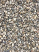 Pebblestone 1/2" - available from Rice Road Greenhouses in Ontario, Canada