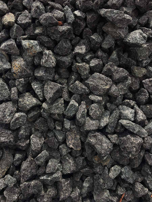 Black Granite - available from Rice Road Greenhouses in Ontario, Canada