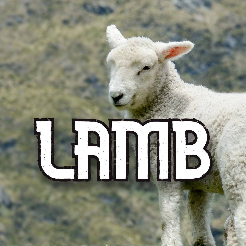 Raw Dog Food: Lamb - available from Rice Road Greenhouses in Ontario, Canada