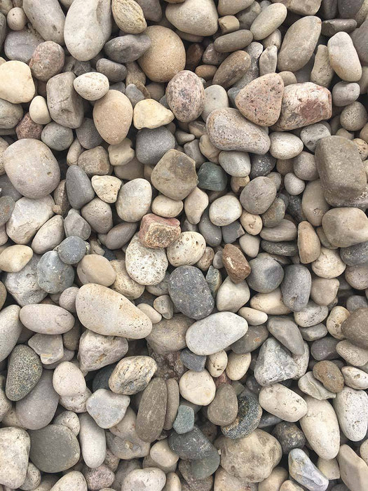 River Stone 1-1.5" - available from Rice Road Greenhouses in Ontario, Canada