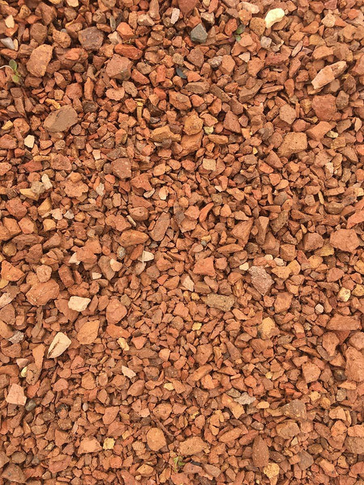 Red Stone 1/2" - available from Rice Road Greenhouses in Ontario, Canada