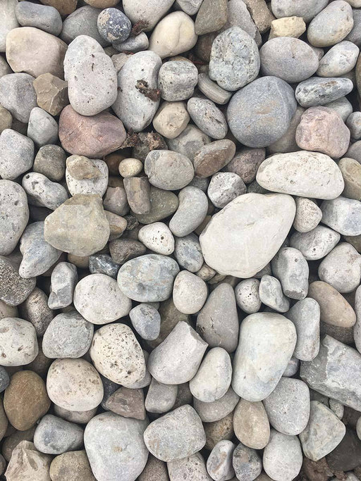 River Stone 2-4" - available from Rice Road Greenhouses in Ontario, Canada