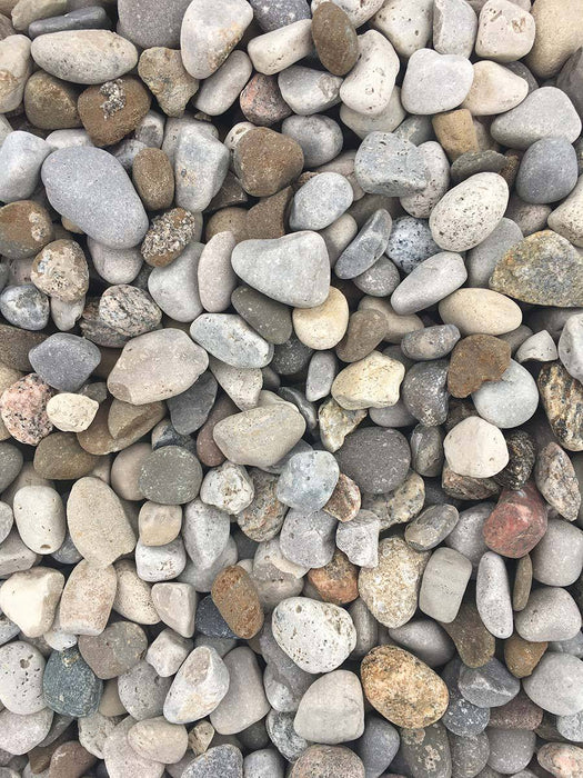 River Stone 3/4" - available from Rice Road Greenhouses in Ontario, Canada