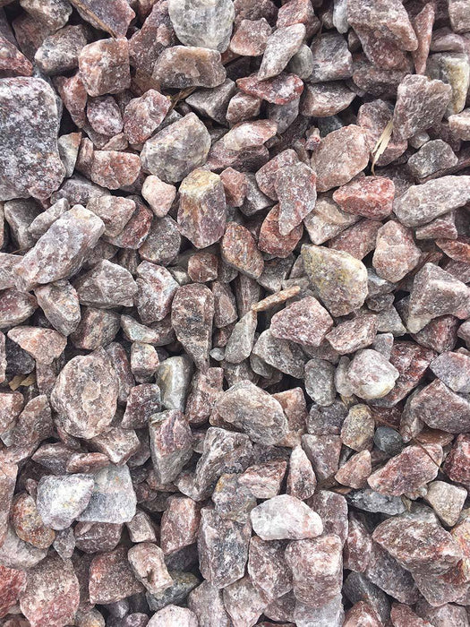 Pink Quartz - available from Rice Road Greenhouses in Ontario, Canada