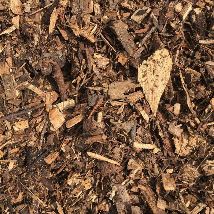 Mystery Mulch - available from Rice Road Greenhouses in Ontario, Canada